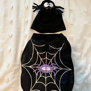 Small Dog Spider Halloween Costume